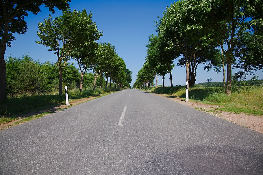 road, instructions, asphalt, tree, nature, roadway, empty, travel, HD wallpaper