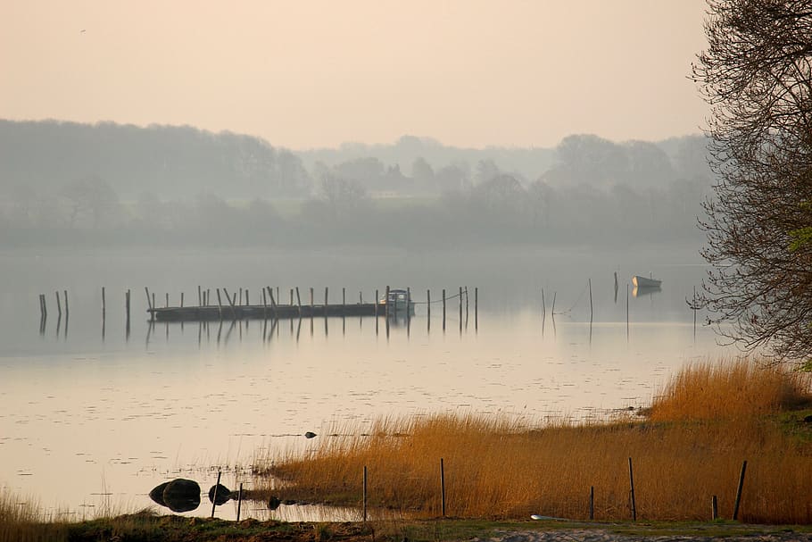 fog, dawn, waters, nature, tranquil scene, scenics - nature HD wallpaper