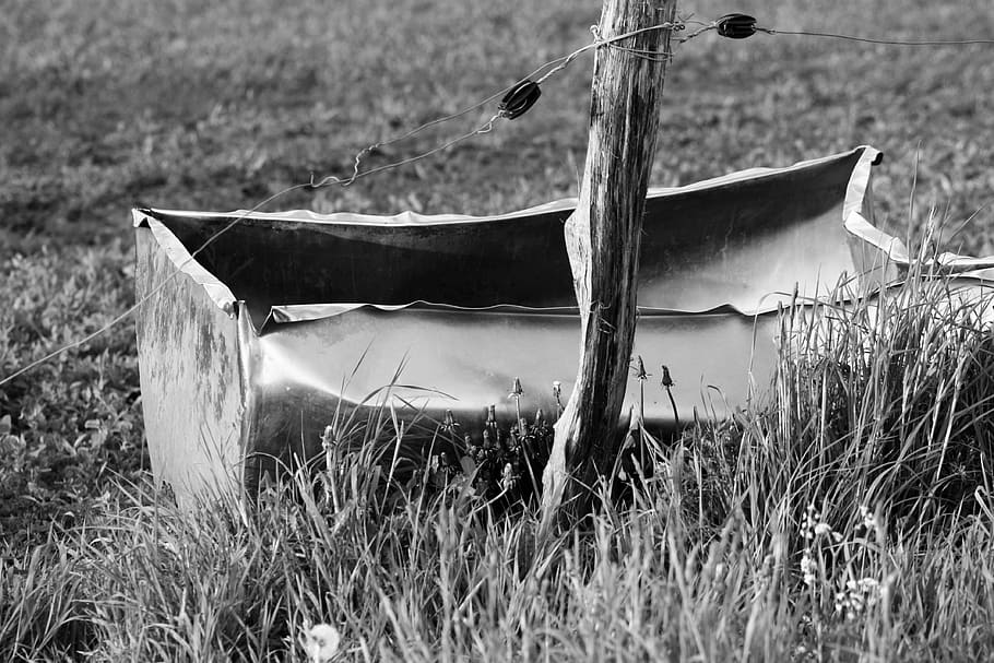 black white, kar, drink, trough, old, grass, nature, land, plant HD wallpaper