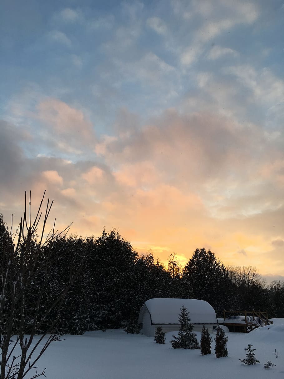 Winter, Subset, Backyard, snow, cold temperature, cloud - sky HD wallpaper