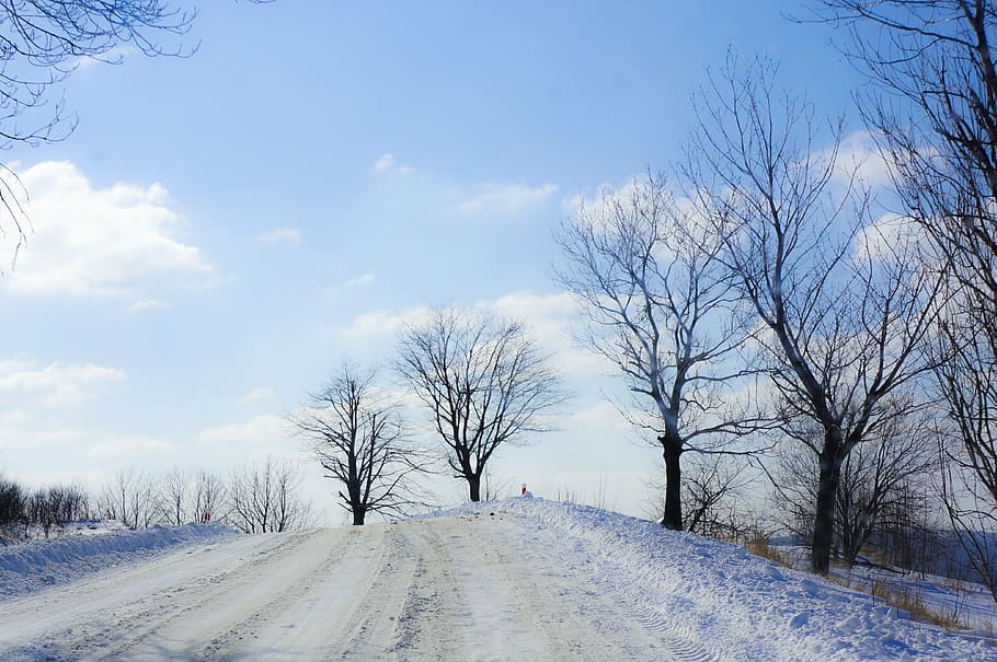 winter, landscape, tree, nature, village, snow, biel, sky, cold temperature HD wallpaper