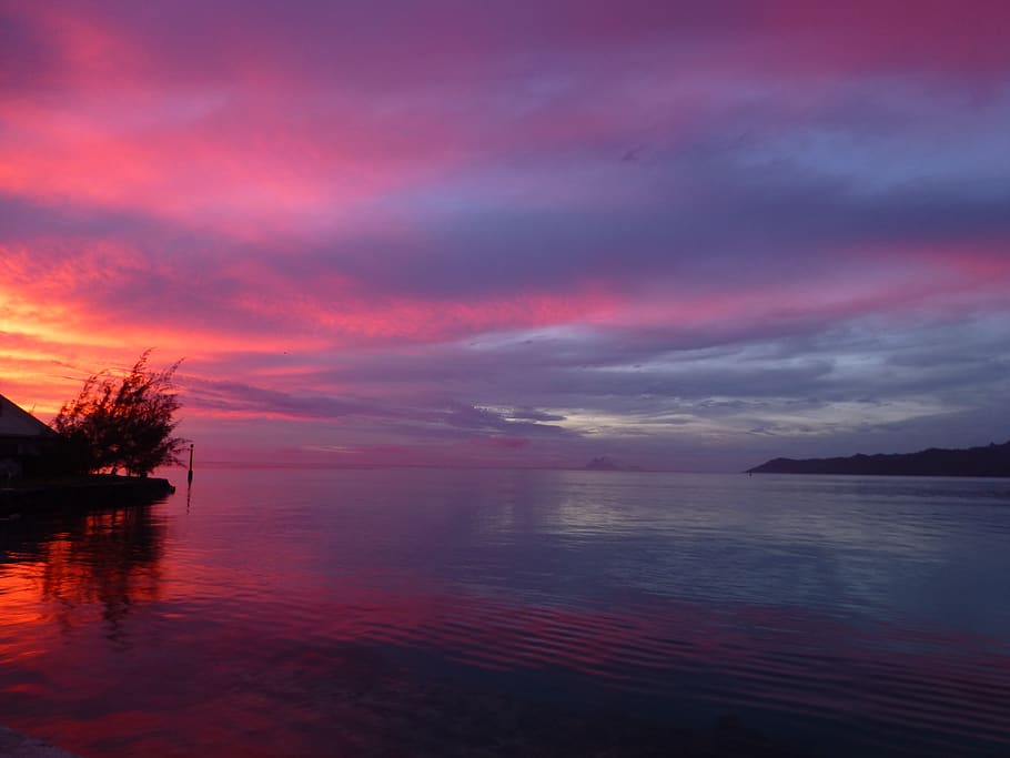 sunset, ocean, polynesia, sea, sky, cloud - sky, water, beauty in nature HD wallpaper