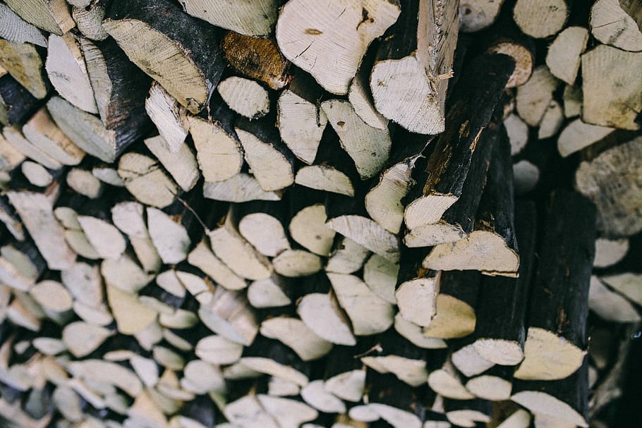 Wooden logs, forest, trunks, timber, nature, pattern, backgrounds HD wallpaper