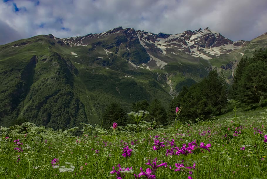 Elbrus, Region, Mountains, Caucasus, elbrus region, the caucasus, HD wallpaper