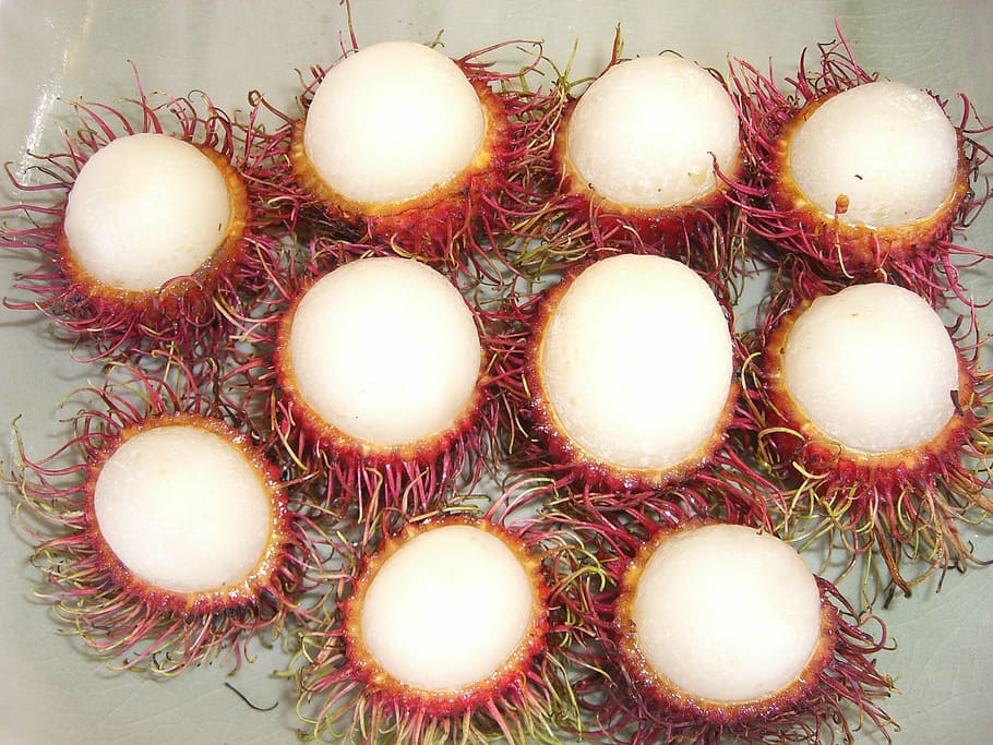 lychee, fruit, pointed, thailand, food, food and drink, still life HD wallpaper