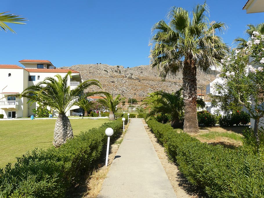 rhodes, hotel complex, palm trees, sun, holiday, architecture HD wallpaper