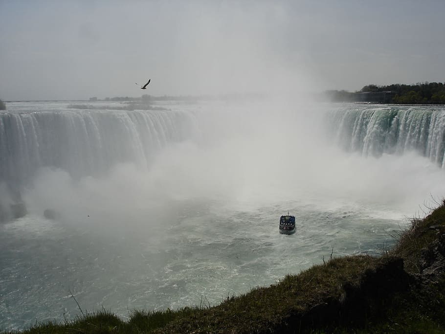 niagara if, canada, waterfall, boot, seagull, murmur, foaming HD wallpaper