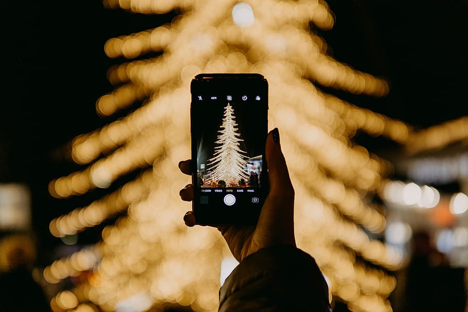 person taking photo of tree, person holding smartphone capturing brown Christmas tree HD wallpaper