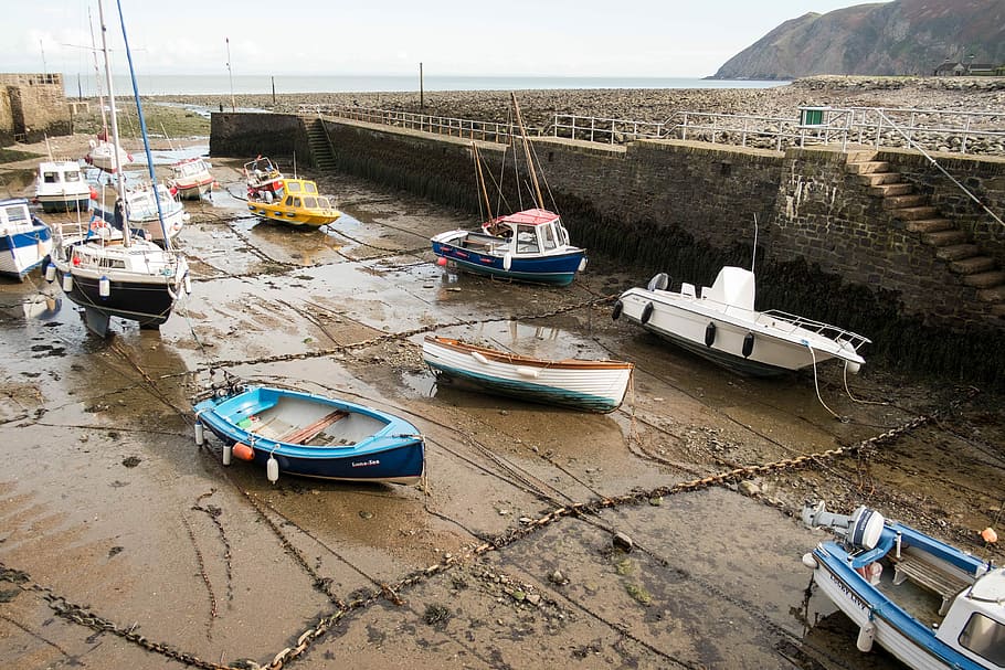 several assorted-color boats, beached, shore, coast, nautical vessel HD wallpaper