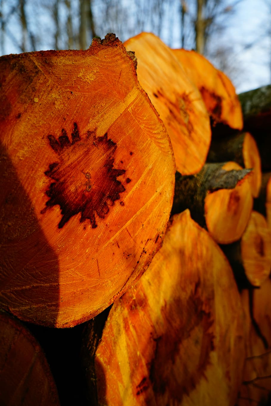 Beech Wood, Wood, Cut, Forest, Forestry, holzstapel, sawn, stacked up HD wallpaper