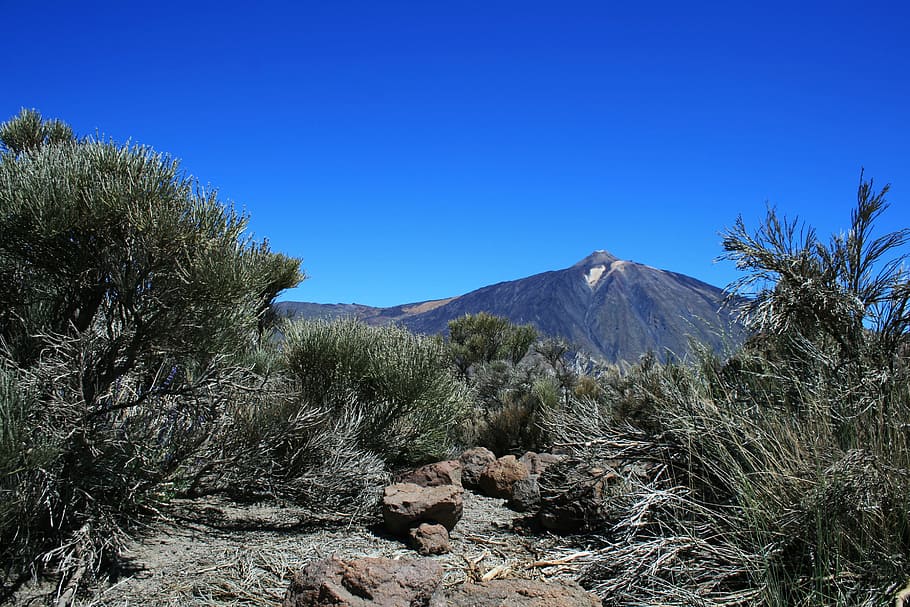 Canary Islands, Teide National Park, tenerife, spain, nature, HD wallpaper