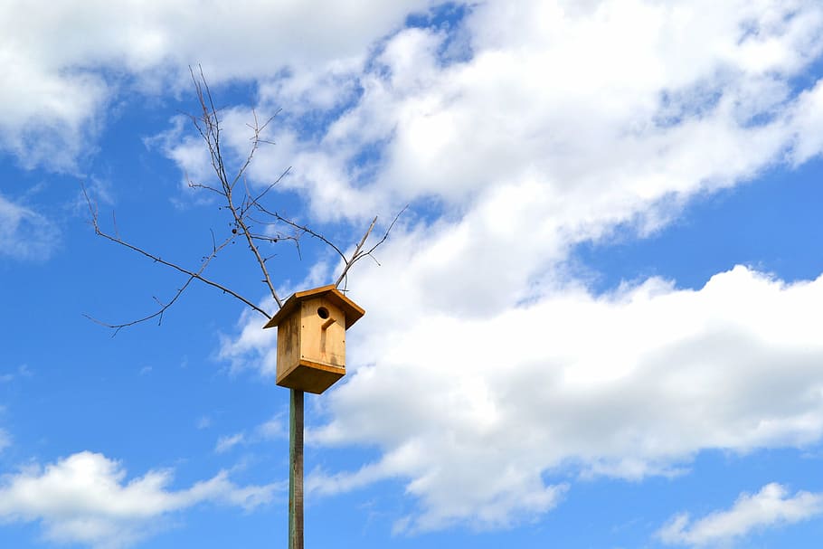 birdhouse, sky, clouds, cloud - sky, day, low angle view, blue HD wallpaper