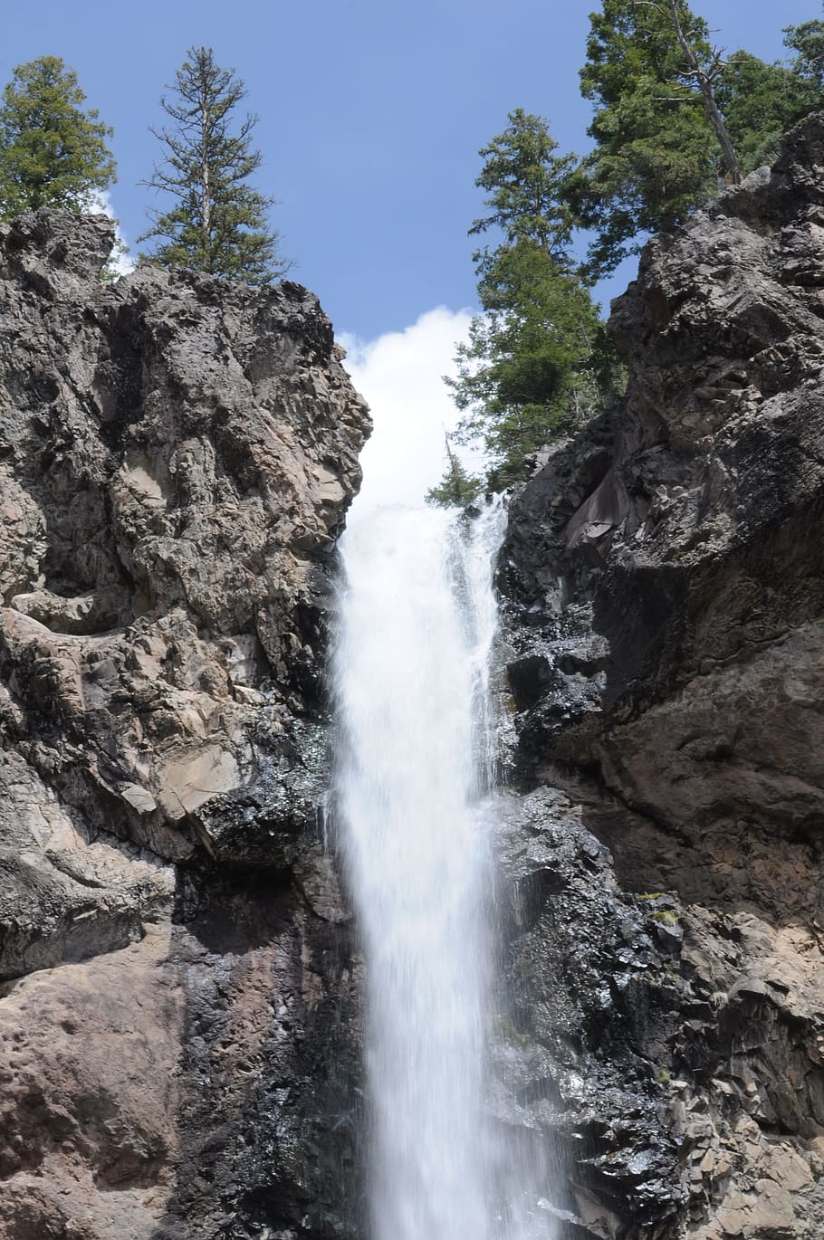 Waterfall, Pine Tree, Scenery, rock - object, scenics, nature HD wallpaper