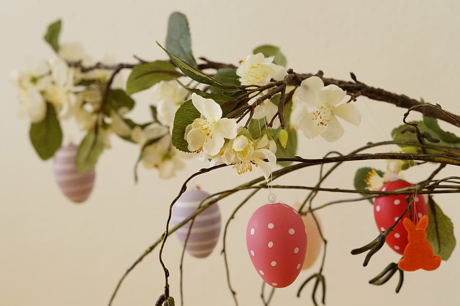 selective focus photography of white petaled flower, easter greeting HD wallpaper