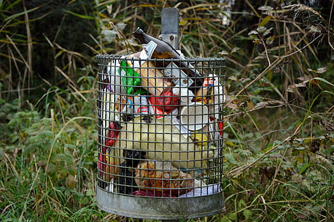 garbage, waste basket, disposal, environment, nature, household waste HD wallpaper