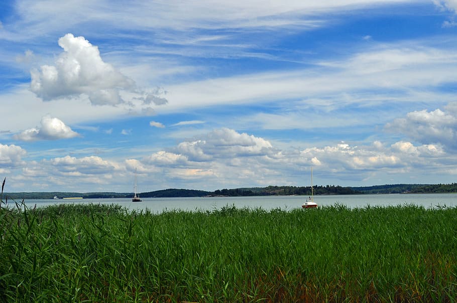 grass, cloud, summer, nature, landscapes, sweden, sky blue HD wallpaper