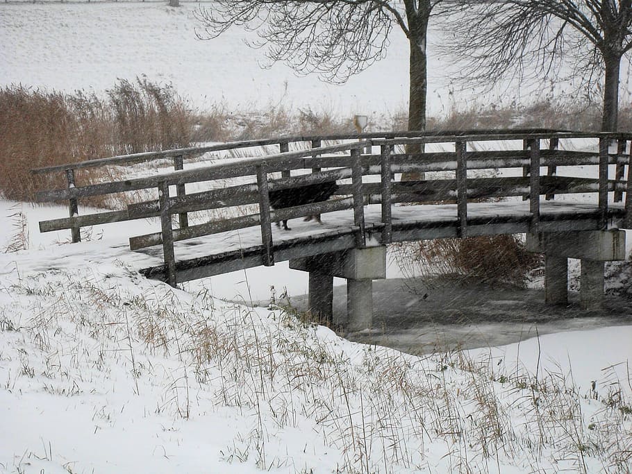 winter, bridge, nature, trees, snow, cold temperature, bare tree HD wallpaper