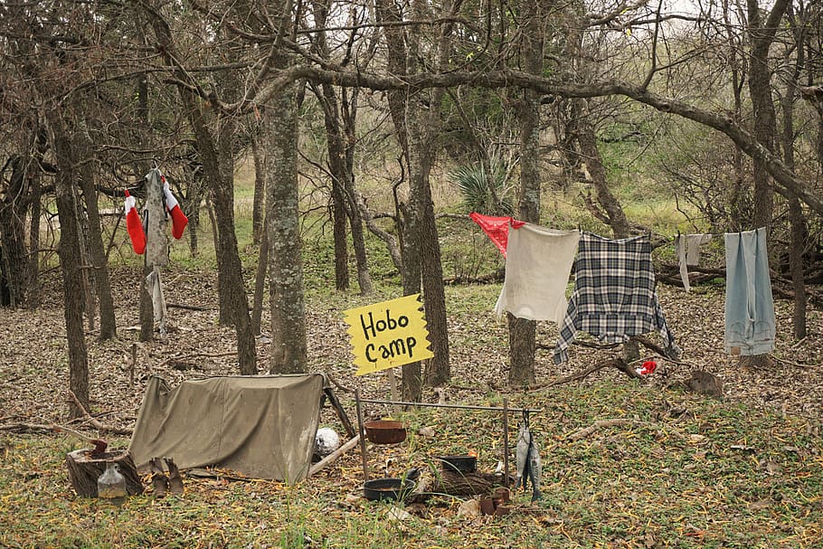 Hobo Camp - Living in the wilderness, clothes hanged near trees, HD wallpaper