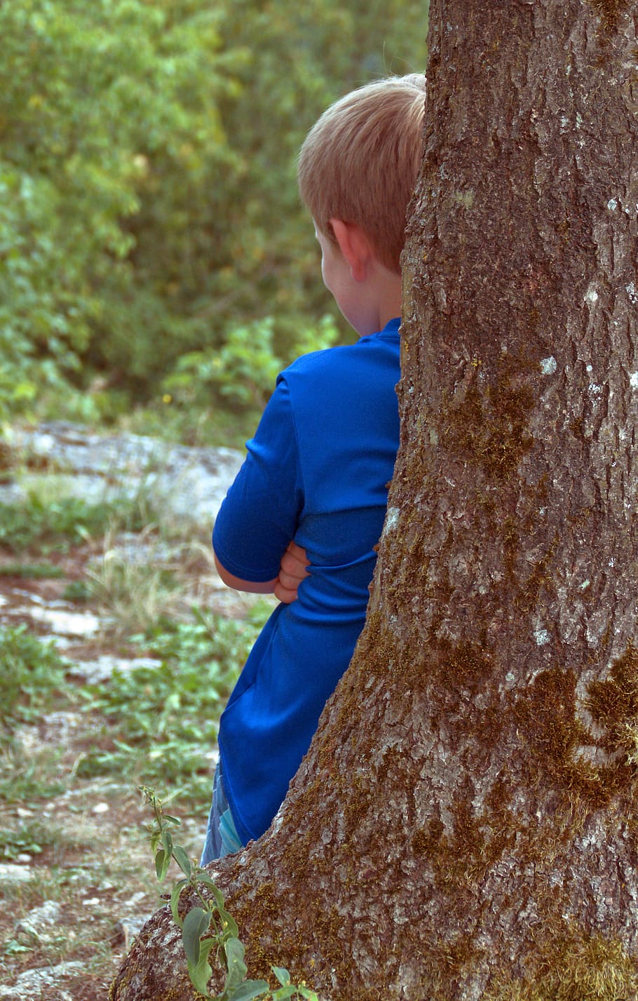 log, boy, hide, stubborn, landscape, park, nature, bark, mood