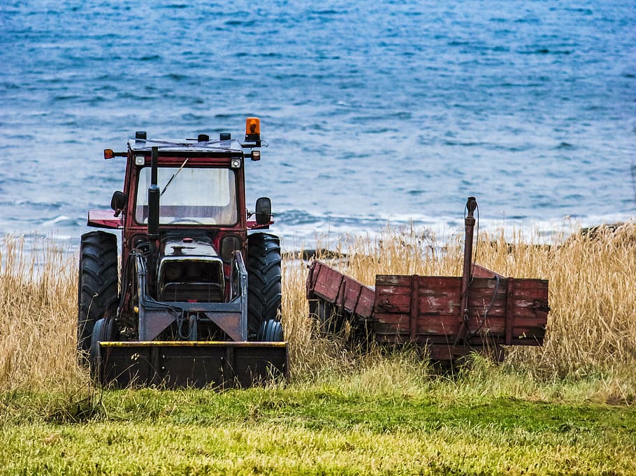 tractor, rural, old, ranch, green, plants, agriculture, field HD wallpaper