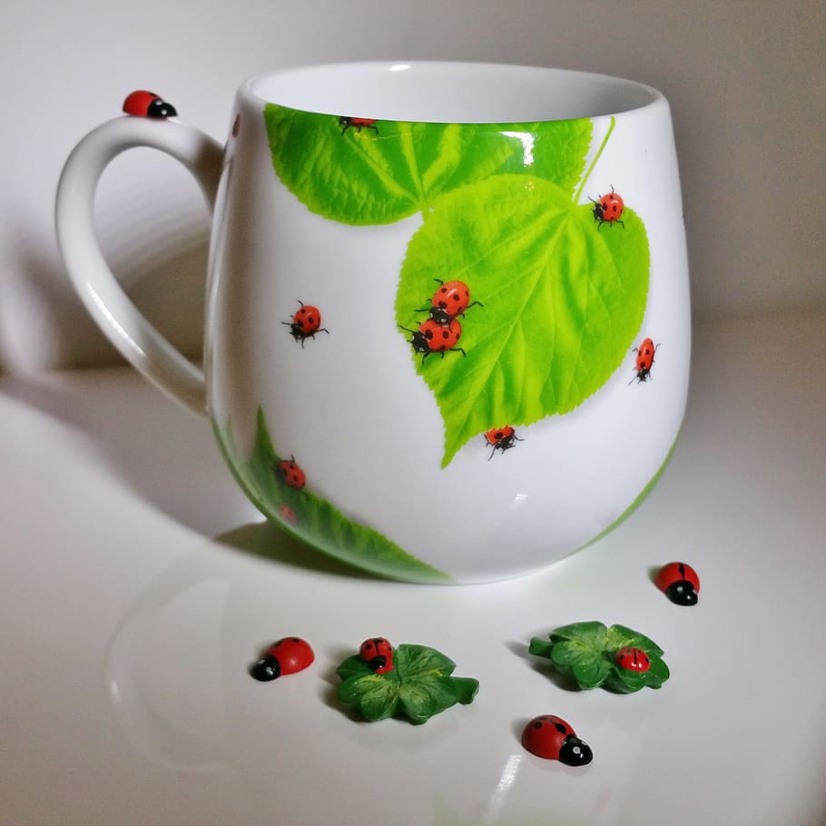cup, luck, four leaf clover, ladybug, lucky charm, indoors HD wallpaper