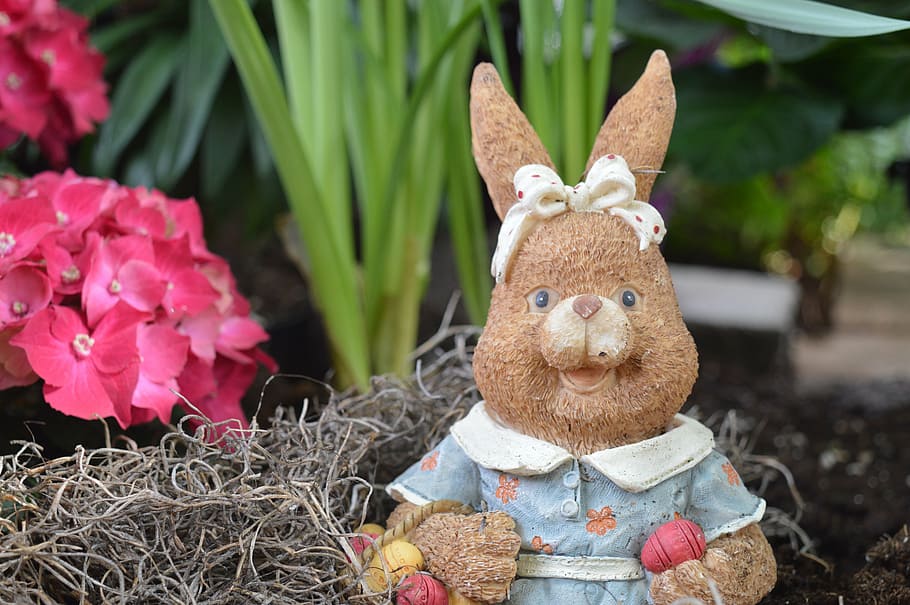 rabbit, bunny, hare, easter, animal, seasonal, rodent, brown HD wallpaper