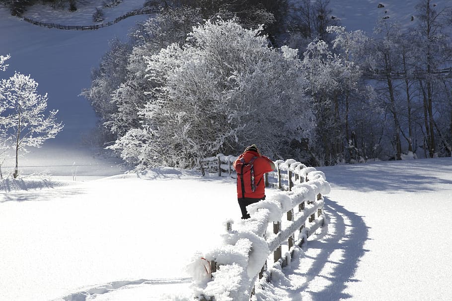 wintry, snow landscape, valsertal, winter, cold temperature HD wallpaper