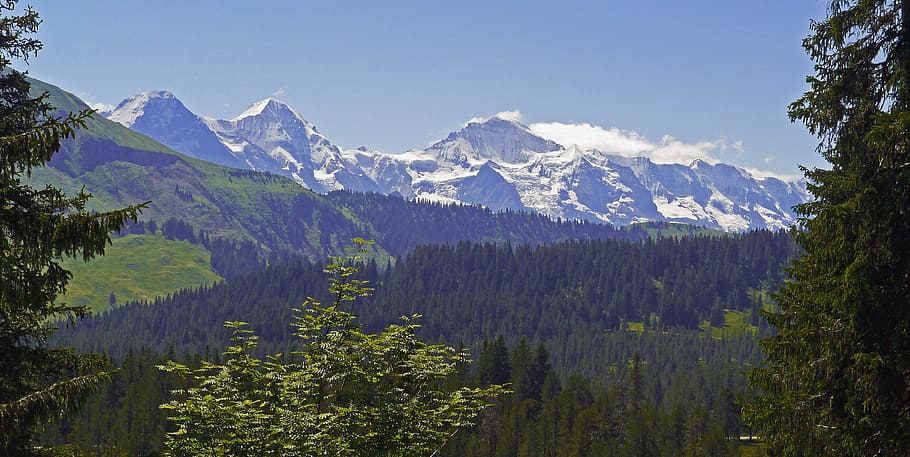 eiger, monk, virgin, mountain range, bernese oberland, switzerland HD wallpaper