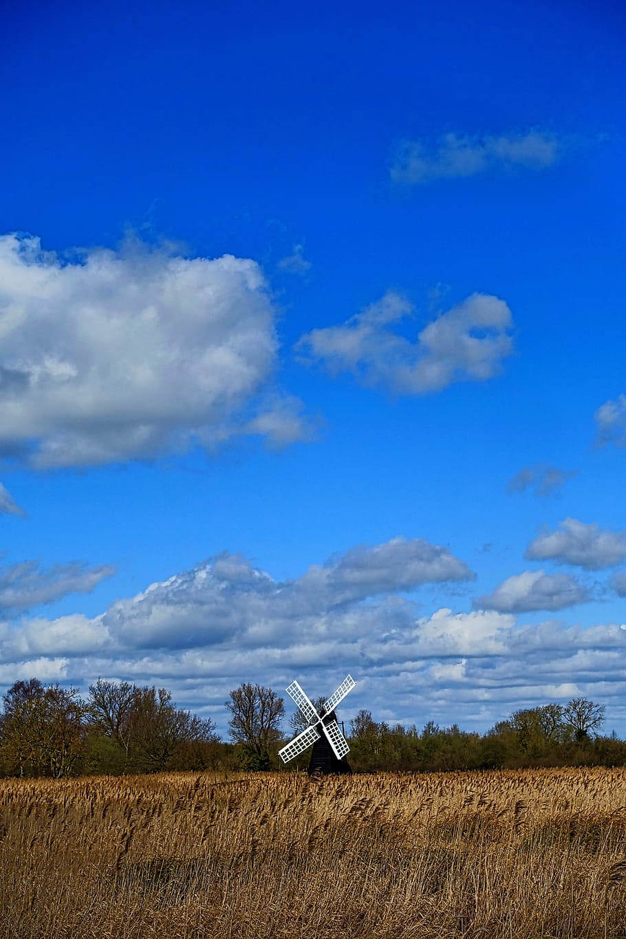 Windmill, Landscape, Field, Nature, sky, energy, country, scenic HD wallpaper