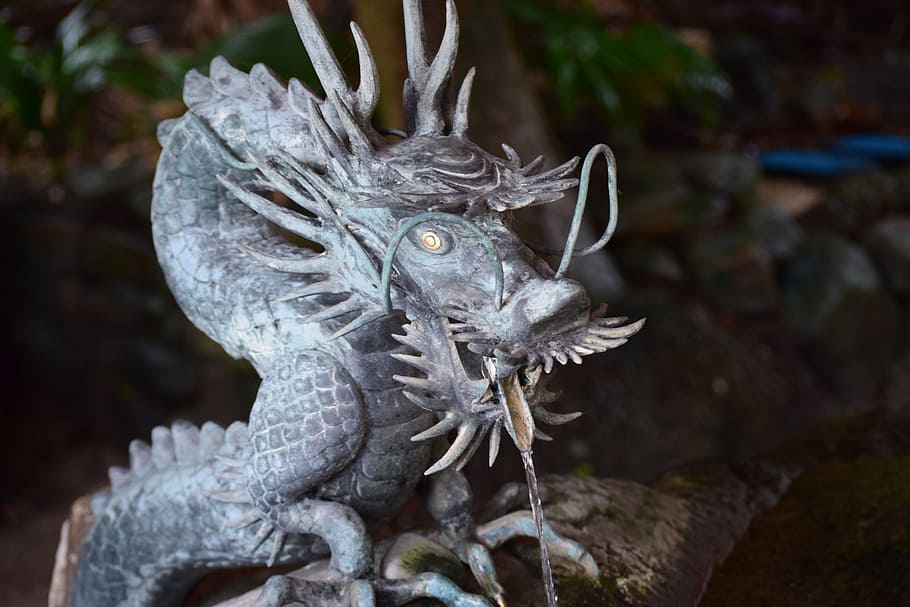 Miyazaki, Qingdao, Dragon, no people, one animal, close-up HD wallpaper