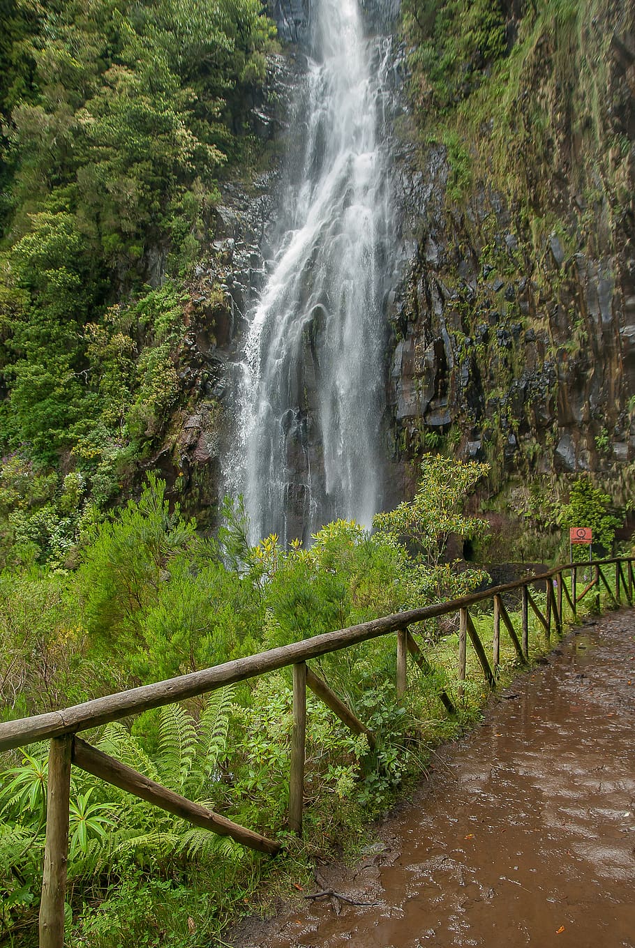 madeira, cascade, source, waterfall, beauty in nature, scenics - nature HD wallpaper