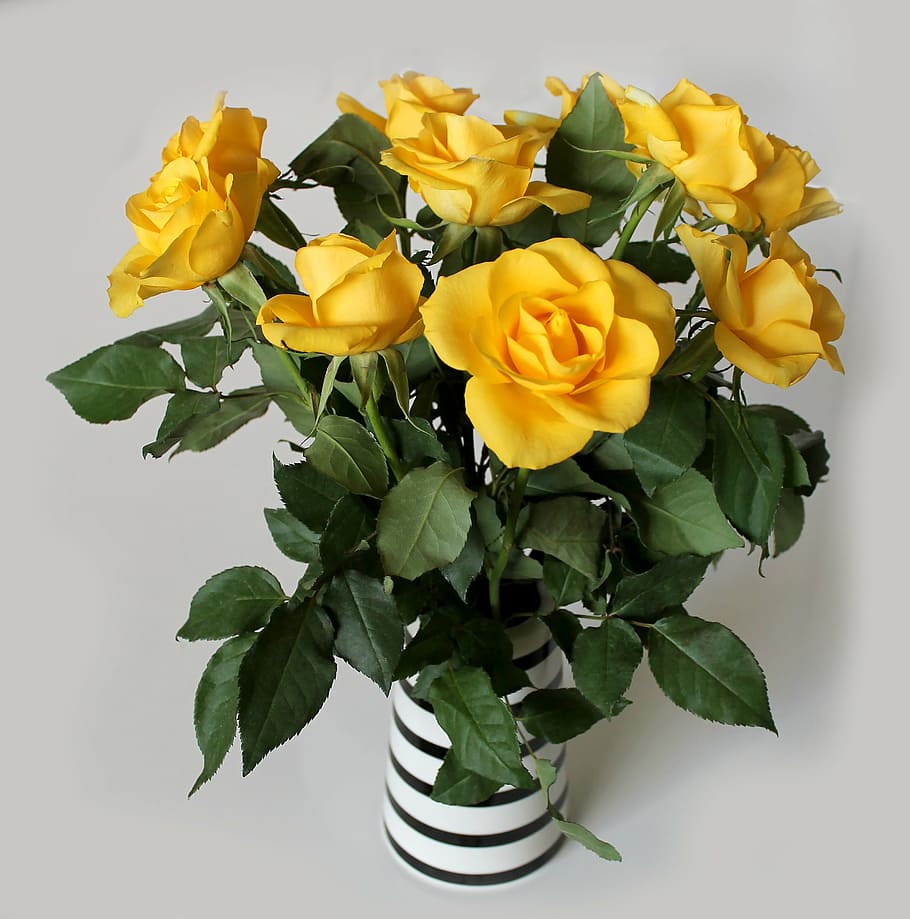 roses, bouquet, yellow, beautiful, decoration, easter, flower HD wallpaper