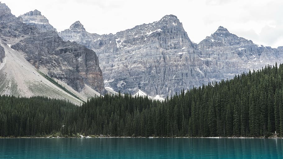 blue ocean water near green leafed trees and gray mountain during daytime HD wallpaper