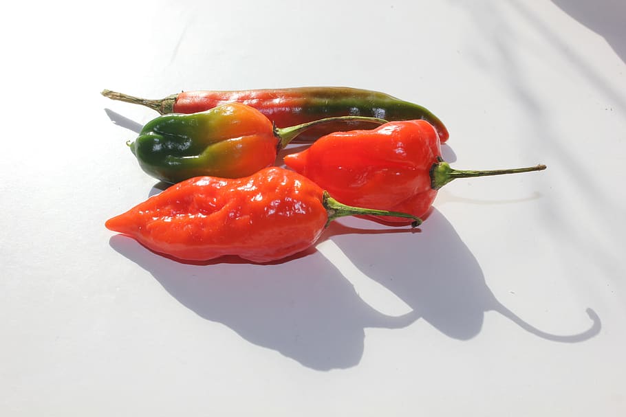 Shadow, Light, Peppers, Colors, food and drink, healthy eating HD wallpaper