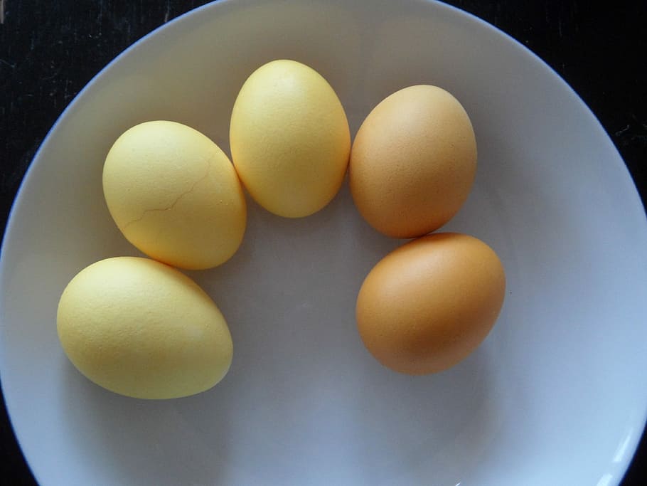 Easter Eggs, Colored, Yellow, color bath, food and drink, indoors HD wallpaper