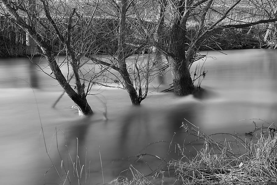 nature, waters, reflection, wood, dawn, river, landscape, grass HD wallpaper