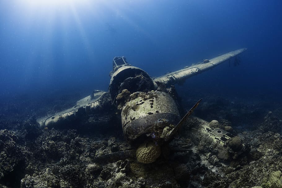 underwater photography of wrecked monoplane, underwater photography of shipwreck