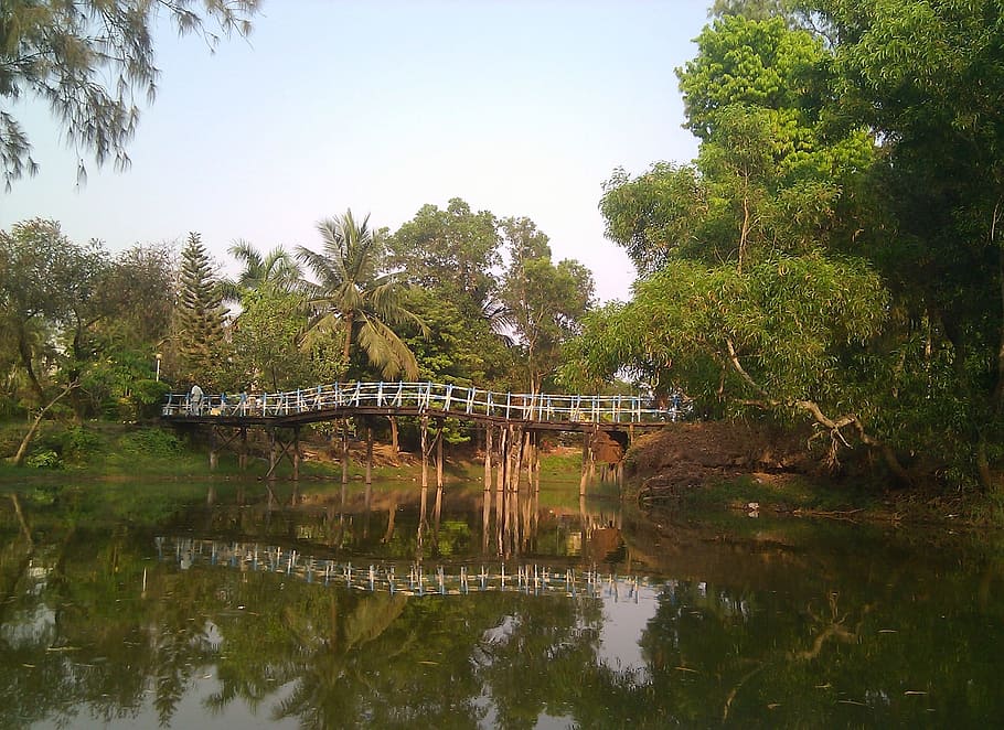India, Clouds, Bridge, Wooden, sky, forest, trees, woods, water HD wallpaper