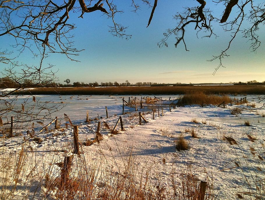 Sea, Beach, Winter, marsh, nature, swamp, no people, reflection HD wallpaper