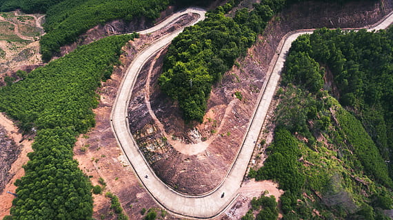 bird's-eye view photo of highway in between of trees, aerial photography of curved road HD wallpaper