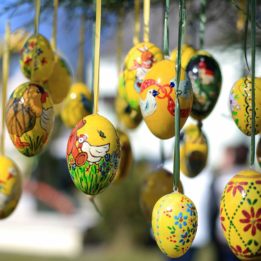 close-up photography of multicolored hanging eggs, easter eggs HD wallpaper