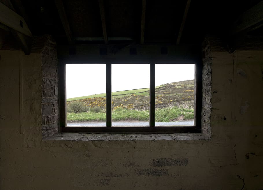 Window, Light, Outlook, View, by looking, heide, moor, broom HD wallpaper