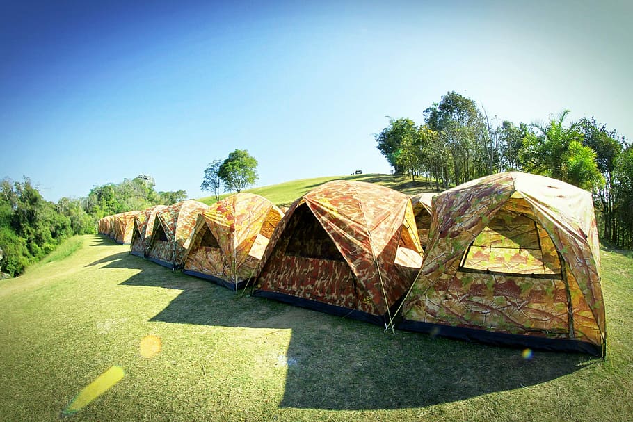 Camp, Tent, Tree, Forrest, Outdoor, activity, holiday, wood HD wallpaper