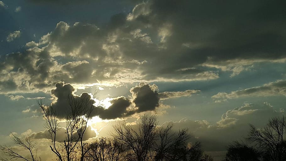 clouds, sun, nature, cloud - sky, tree, beauty in nature, sunbeam HD wallpaper