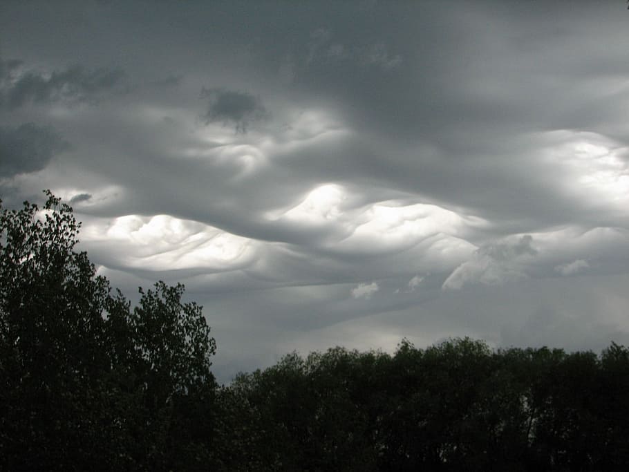 Storm, Clouds, Weather, grey, sky, rain, thunder, tree, nature HD wallpaper