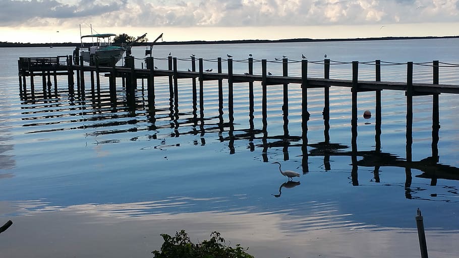 dunedin, pier, florida, water, sky, cloud - sky, reflection HD wallpaper