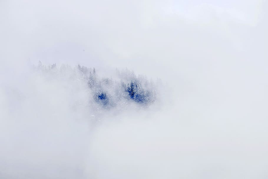 snow covered mountain, forest, fog, cloud, cloudy, cold temperature HD wallpaper