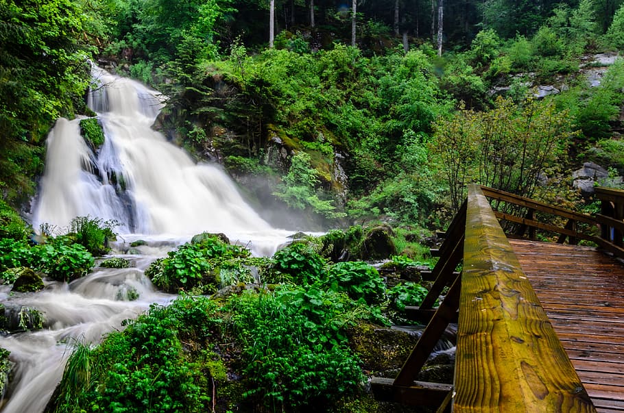 waterfalls in forest, triberg, black forest, germany, fog, nature HD wallpaper