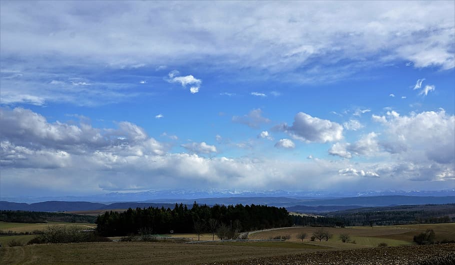 trees on grass field under cloudy sky at daytime, germany, switzerland HD wallpaper