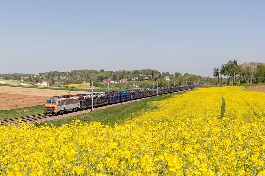 Train, Bb, Rapeseed, sybic, bb 26000, gefco, transport cars HD wallpaper
